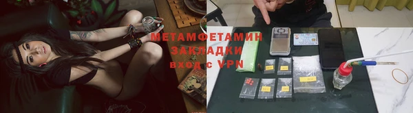 гидра Алексин