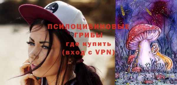шишки Алексеевка