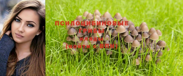 гашиш Армянск