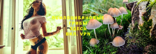 кокаин премиум Арсеньев